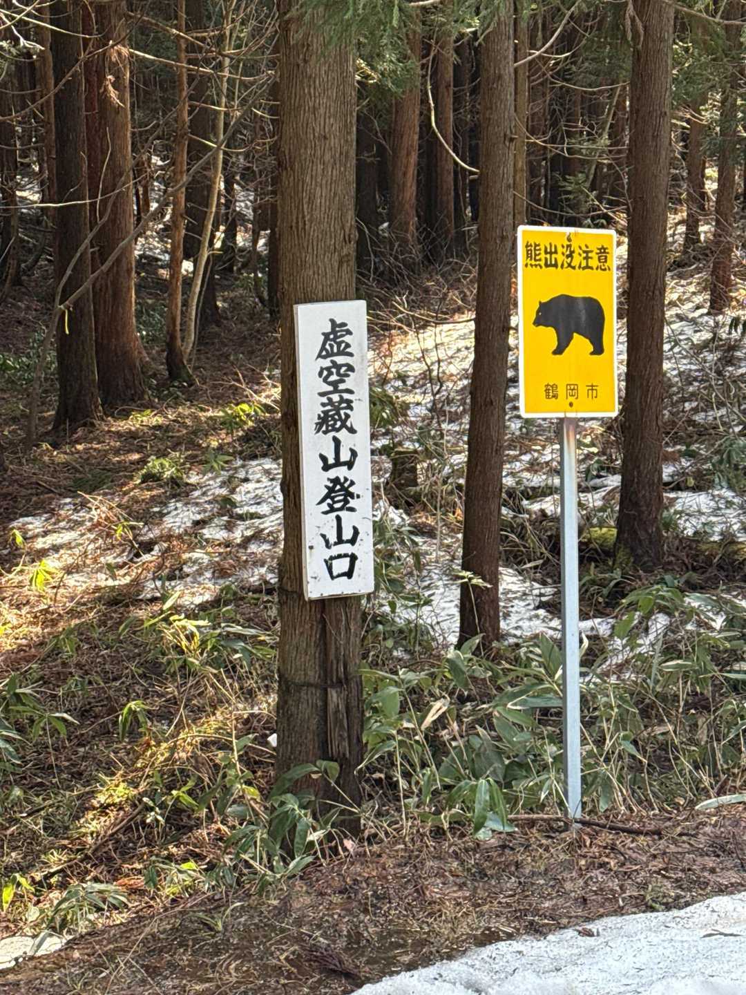縦走はこちら💁‍♀️