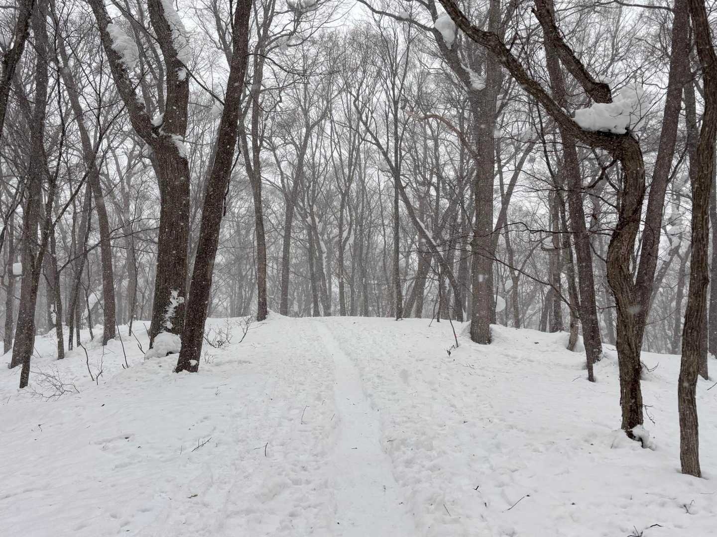 雪の降る中歩きますよ
トレースは一級国道！今日はチェンスパで