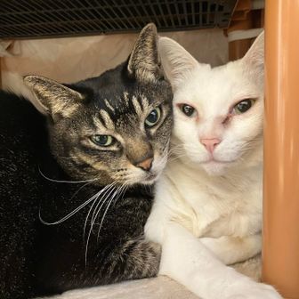 キリ⭐︎登山初心者🔰