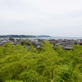 海光テラスから