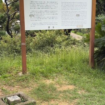 蘇鉄山山頂
日本水準点では一番低い山だそうで。