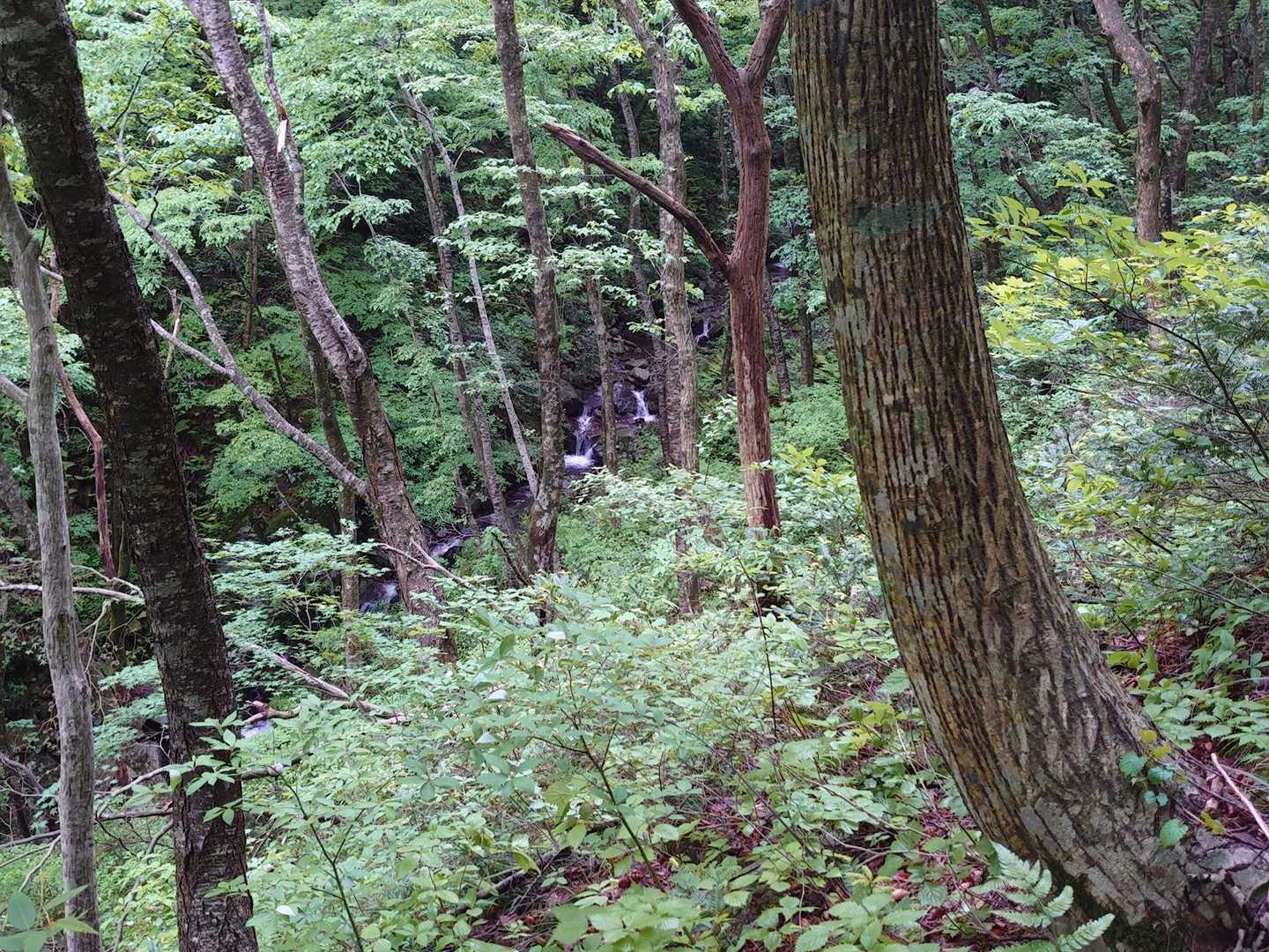 小さい滝