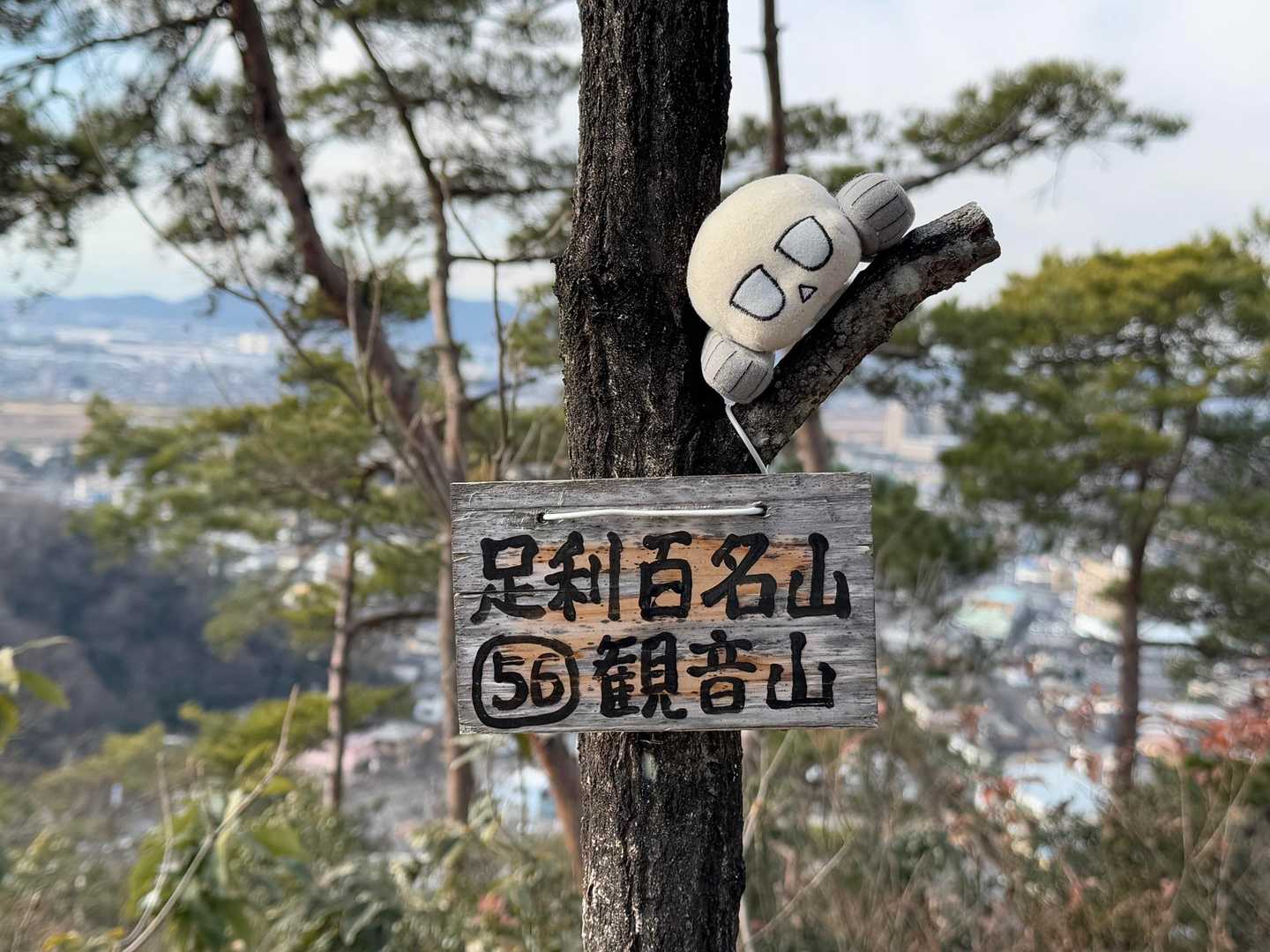 ラストの観音山⛰️ 
仲間と一緒におしゃべりしながら楽しかった〜😄
