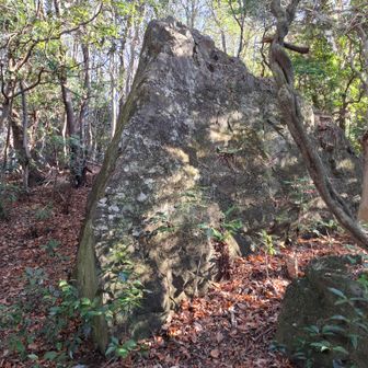 よくわからない(・・?
鳥帽子岩・・・