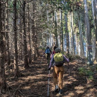 ユルイよい道40%

内舗装林道20%
(🚫車両通行止め)
🚙行けそーやん