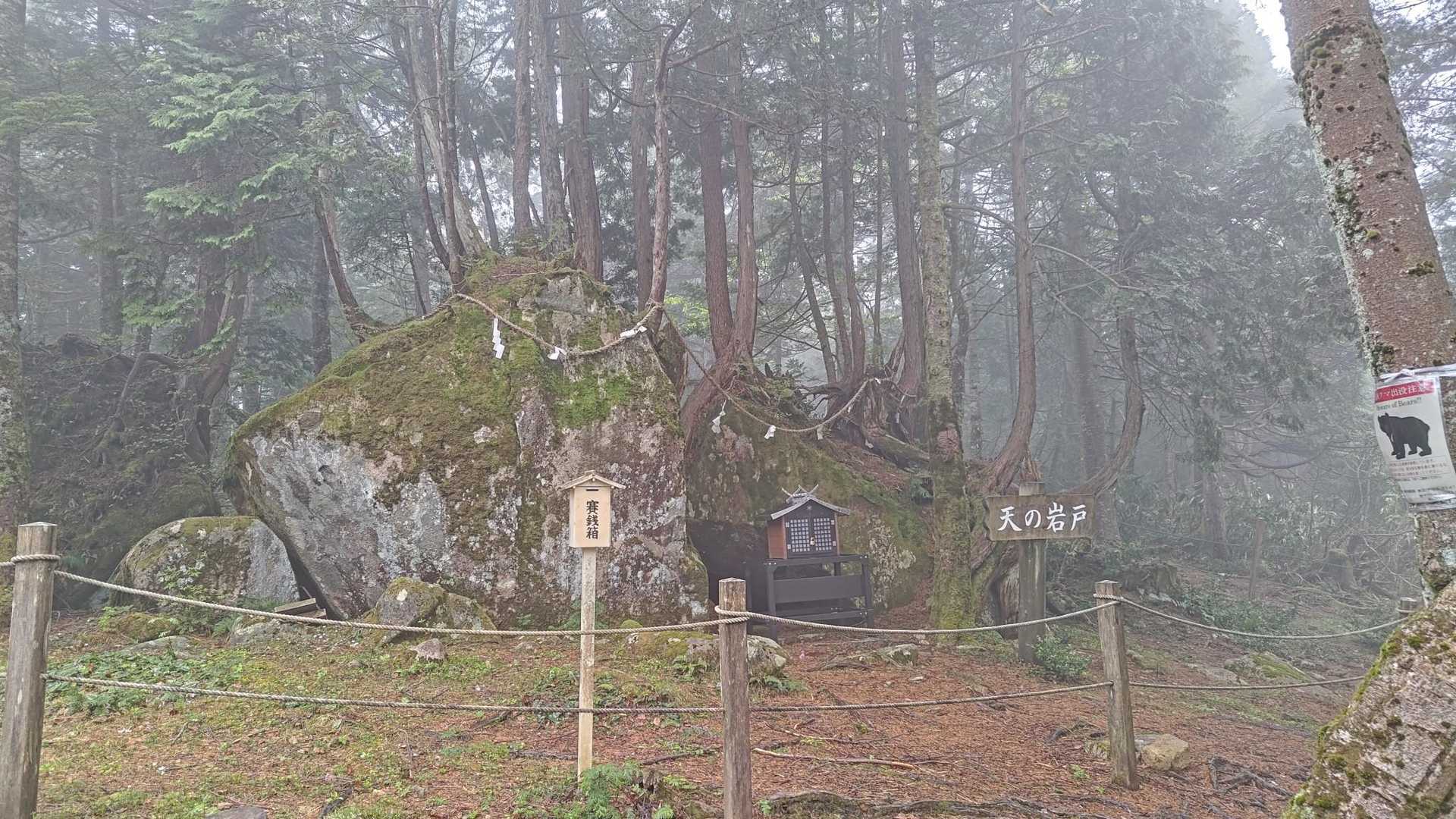 そして…、
天の岩戸…！
苔の生えた巨石群に複数の木が…！
オーラハンパない…！