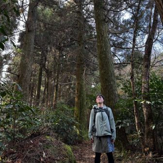 尾根にあるスギの巨木たち🌲
その影響かよもぎもちも力強い💪