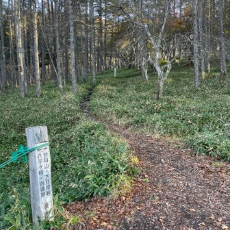 登山道入口