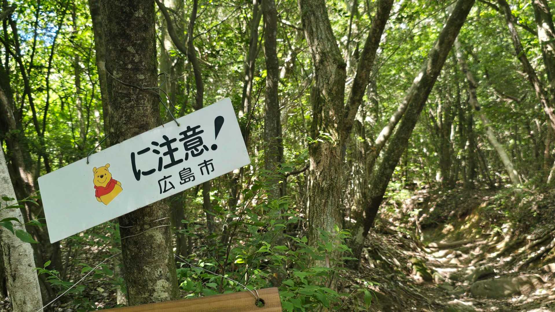 6月に山頂付近に熊🐻が出たんだそう…
くまのプーさんならいいんだけどね😂
