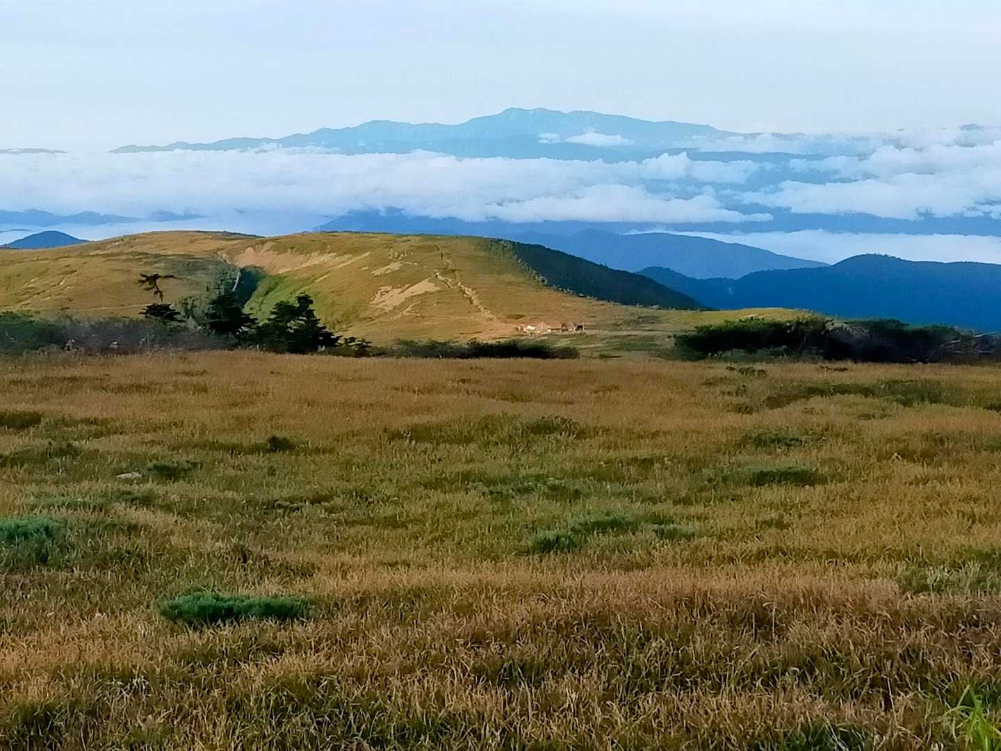 薬師岳登山口-五光岩ベンチ-太郎山-薬師峠-薬師平-薬師岳 往復コースの写真
