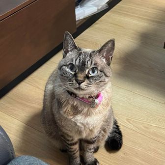 とし