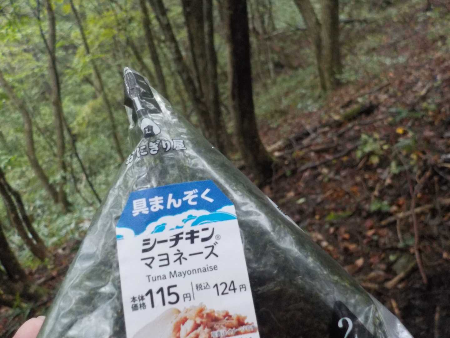 雨が小降りになったから休憩

腹へったので🍙