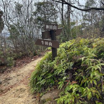 神田山