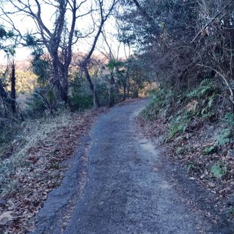 栂丸山はセコップ可能ですね🙆‍♂️

山頂まで舗装路が続いていました⬆️