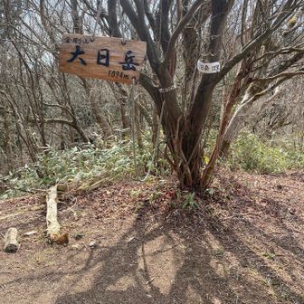 と、思ったら、少し進んだ所にも山頂看板(^◇^;)自由だなぁ。
