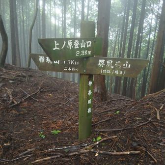 二本杉峠　ここからがキツかった