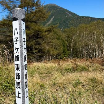 東峰標柱と蓼科山❗️
