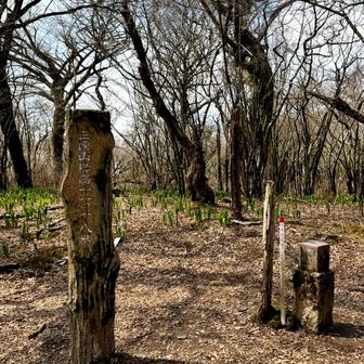 三国山 標高1,101.8m🥰