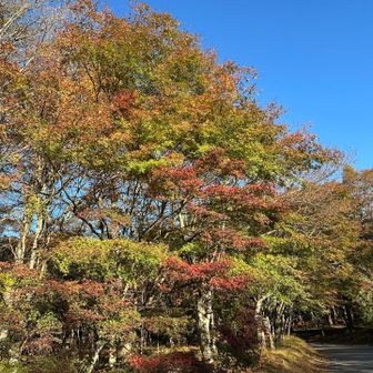 湖畔はまだ紅葉🍁あり