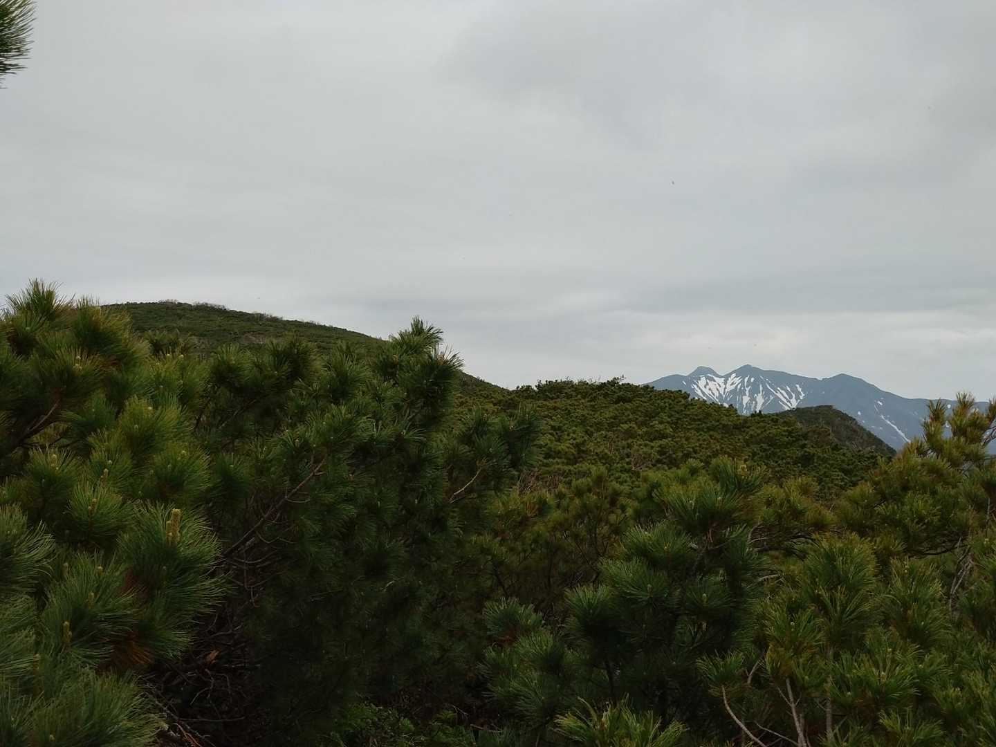 いよいよ
山頂かな‥

奥にチラリと
見えてきたのは‥

イケメンな

あのお山🏔️✨