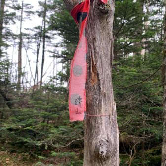 鉄山からの分岐点
