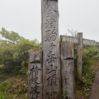 お供と一緒に
見えるかなぁ🤭