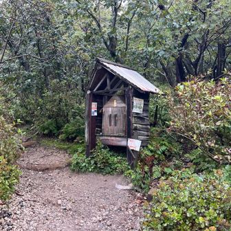 1年2ヶ月振り 7回目？の樽前山です