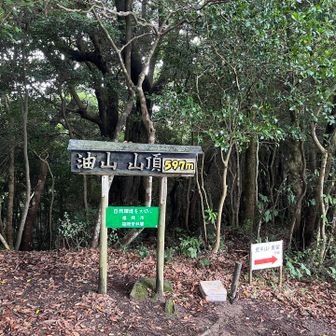 登頂
まあまあ降ってるけど木々でびしょ濡れにはならず