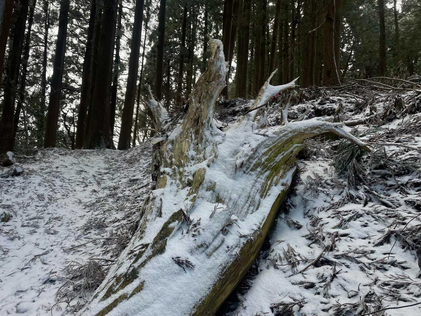 撮るものがない…