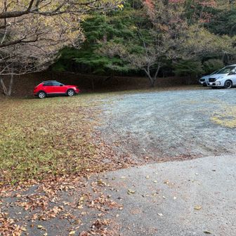 憩いの森公園駐車場🅿️