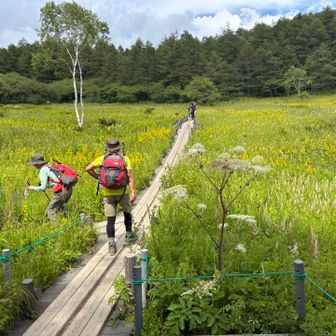 帰りもお花見ながら