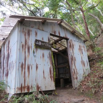 避難小屋まで登りました。