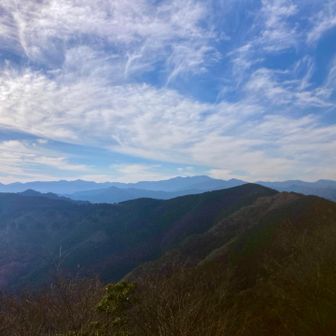 同じように撮れたかな