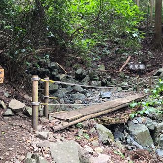 虎の尾桜橋