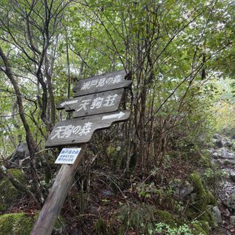 さ！天狗ノ森へ