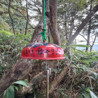 幸せの鐘じゃなくて？

フライパン？