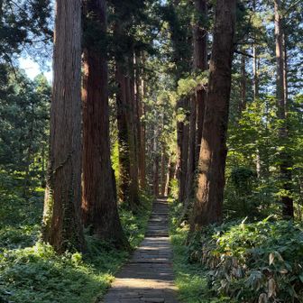 自然と人が作りだした神聖な道

神道や仏教などの宗教的な垣根を超えて自然と人の祈りの道

うまく言えないけど…
ミシュラン三つ星⭐️⭐️⭐️の道笑😆🪓