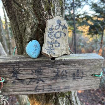 美濃松山を通過