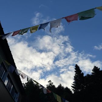 まさかの青空🩵嬉しい🙌