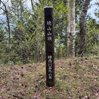 焼山登頂。ここからハーネスを付けてセレフビレィの練習