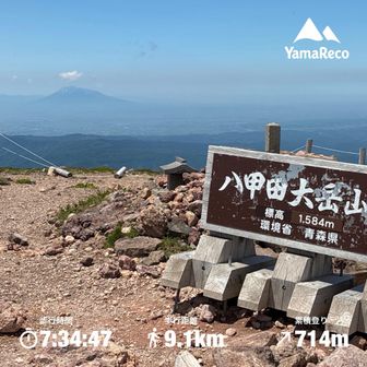 大岳山頂