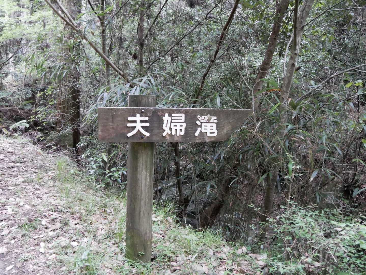 夫婦滝💧
夫婦杉・夫婦岩・夫婦なんちゃらなど夫婦の名前の多いこと😅
兄弟滝とか親子滝なんかはあまり聞かへんけどな😂