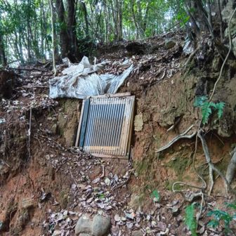 なんのトビラだろう
なんか封印されてるのか？！
ちょっとコワイ😱
どなたか教えてください