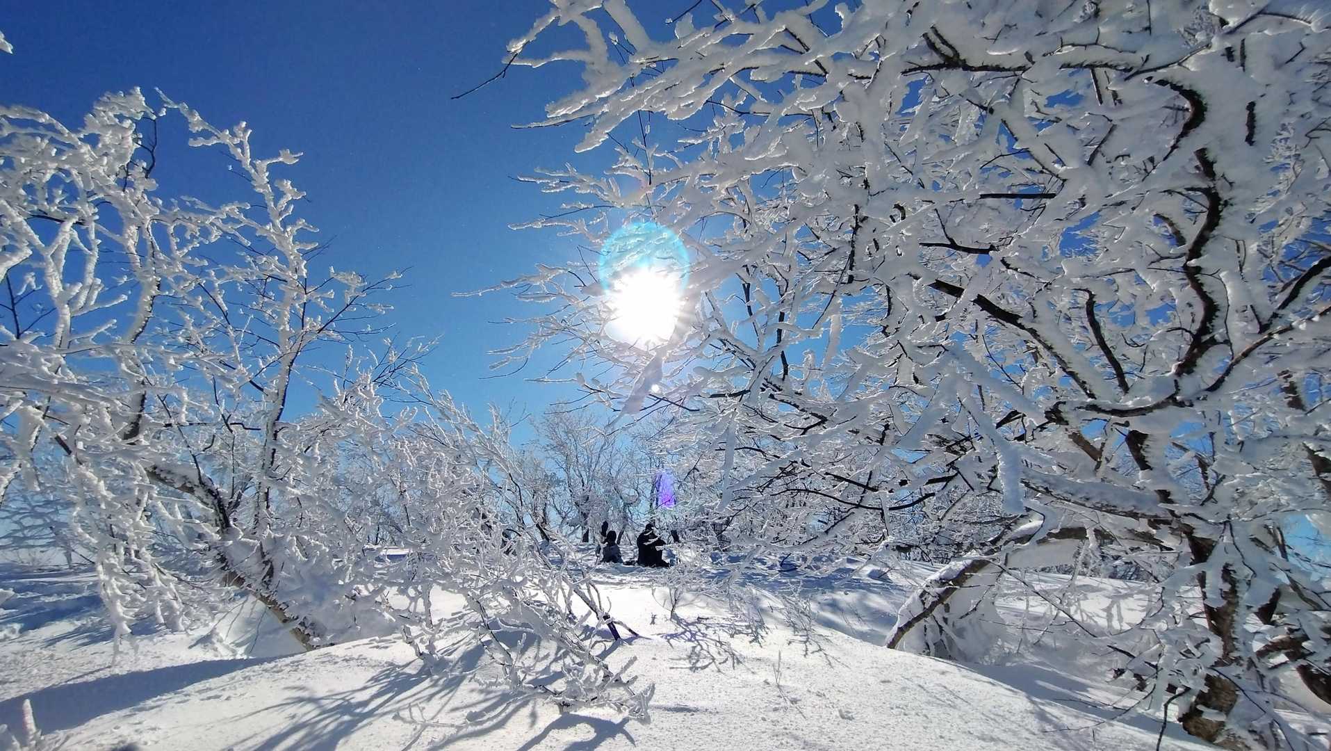 どこを見てもキラキラしてます✨
