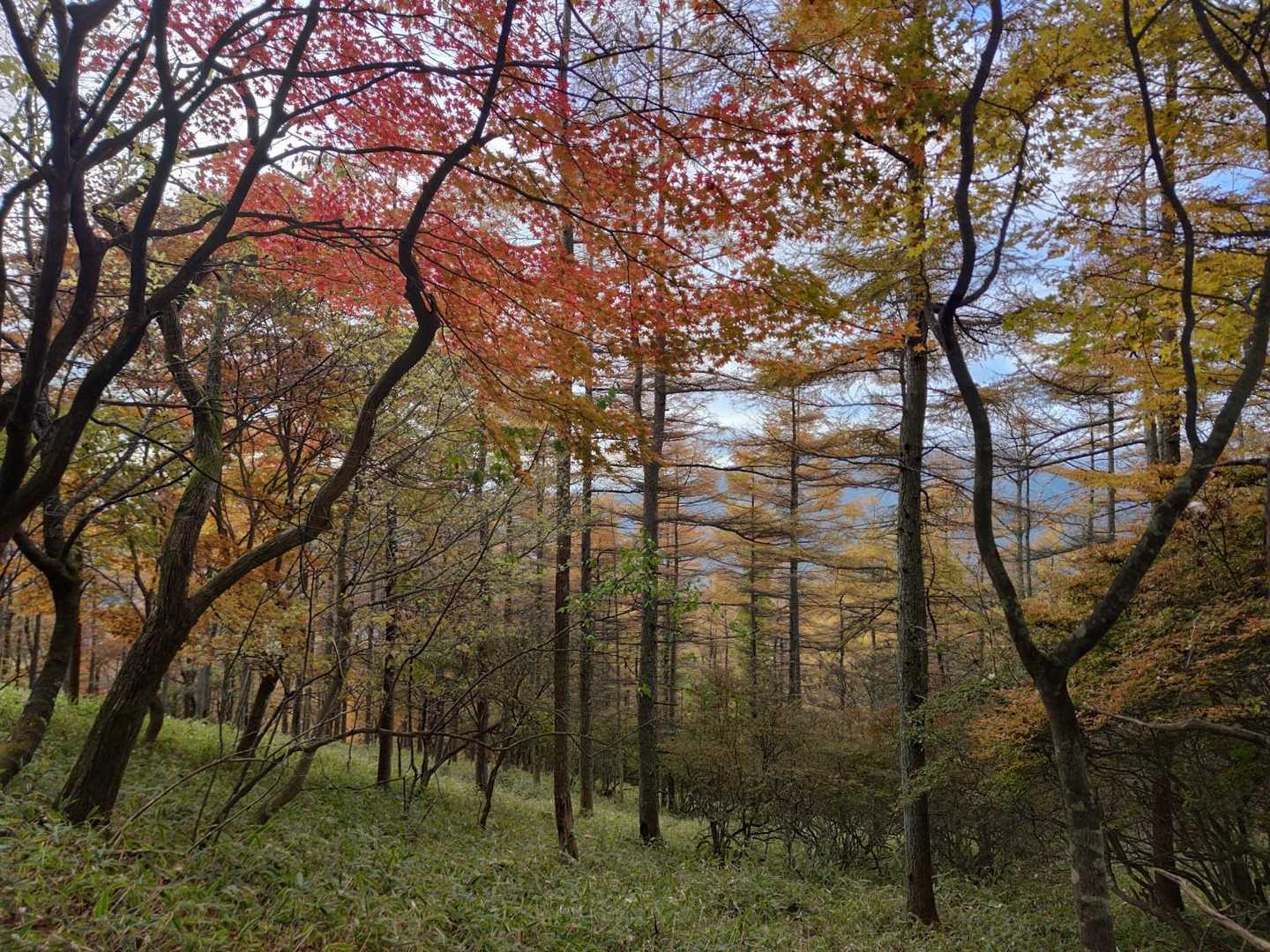 夫婦山入口-夫婦山-月山-月山入口 周回コースの写真