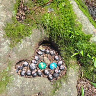 
写真撮り忘れたけど、山頂の神社で販売されてた可愛い石。

ここに置くのが正解なのかな～？🤔

さて、次のお山へ移動しましょう☞