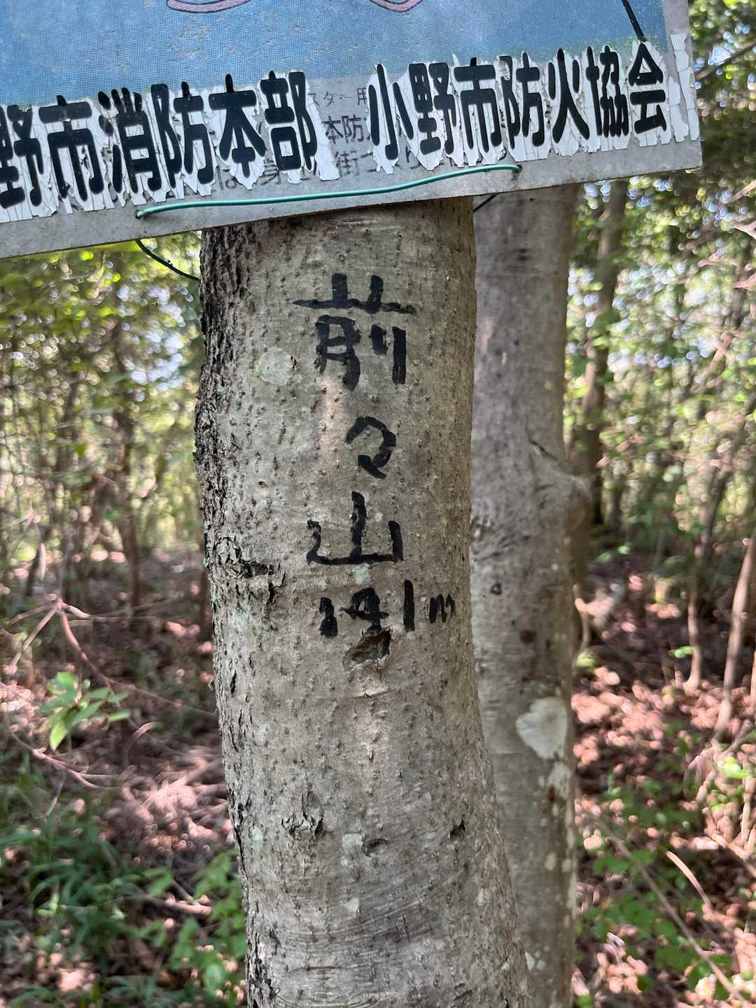 白雲谷温泉ゆぴか登山口-高山-日光峠-安場山 往復コースの写真