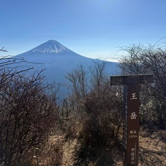 ここも富士山を眺めながらゆっくり休憩するのに良さそうな山頂