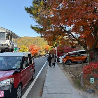 司馬遼の"燃えよ剣"ワールドに浸りつつ