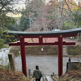 はい❗️参拝終了❗️
帰りましょう❗️